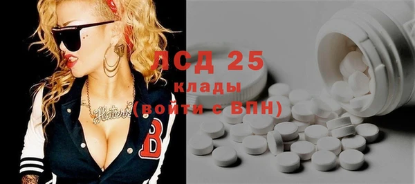 spice Краснослободск