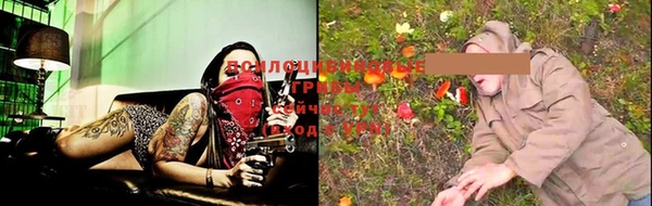 spice Краснослободск