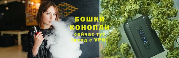 spice Краснослободск
