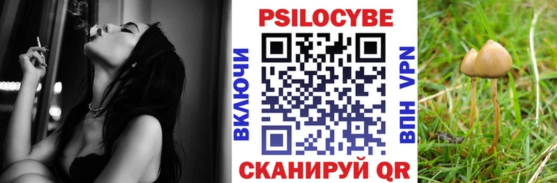 Галлюциногенные грибы прущие грибы  Купить где  Арамиль 